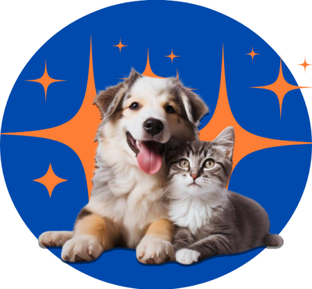 Pets