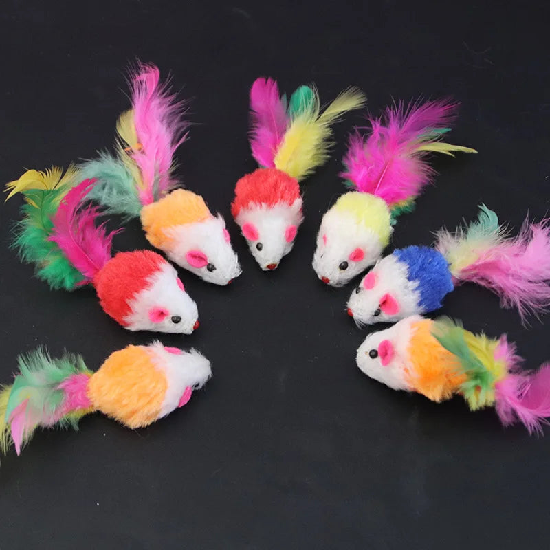 Diversão garantida para seu gatinho