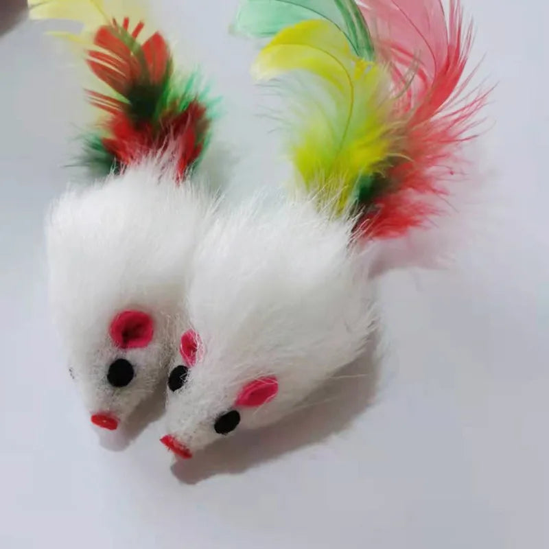 Diversão garantida para seu gatinho