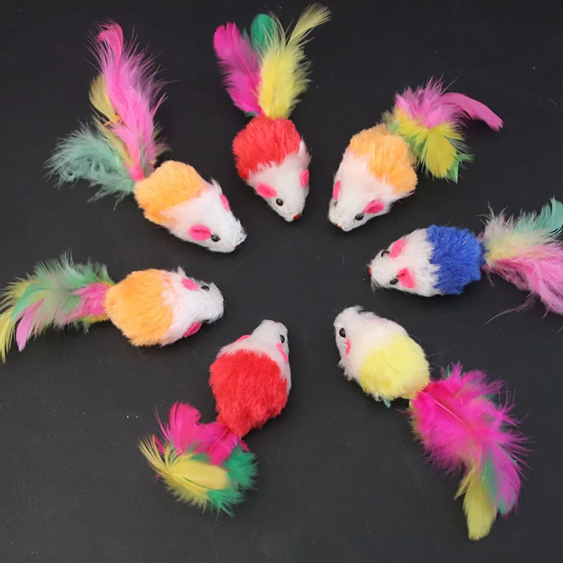 Diversão garantida para seu gatinho
