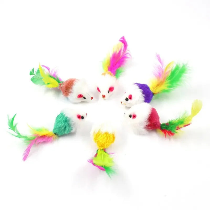 Diversão garantida para seu gatinho